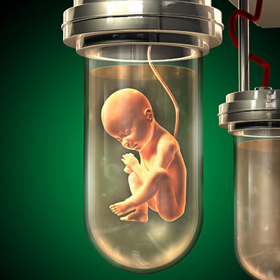 Reagensglasbørn har en markant større chance for at blive født i live, hvis moderen spiser umættet fedt frem for mættet.