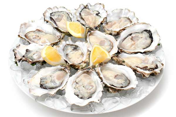 Oysters 81162511